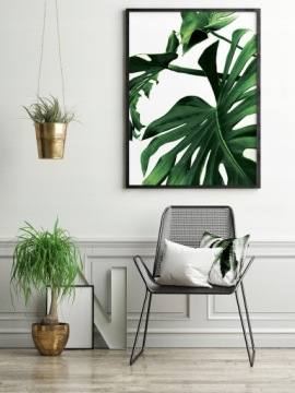 КАРТИНА-ПОСТЕР В РАМКЕ 53х73 см Monstera P842