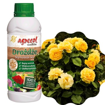 DROŻDŻE – STYMUFLOR-D – STYMULATOR WZROSTU ROŚLIN