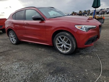 Alfa Romeo Stelvio SUV Facelifting 2.0 Turbo 280KM 2020 Alfa Romeo Stelvio 2.0 280 KM, 4x4, ACC, Panorama, lift, Harman Kardon 2.0, zdjęcie 1