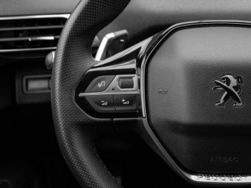 Peugeot 3008 II Crossover Facelifting  1.5 BlueHDi 130KM 2023 Peugeot 3008 BIA6694A#1.5 BlueHDi GT EAT8, zdjęcie 14