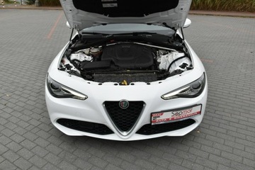 Alfa Romeo Giulia II 2018 Alfa Romeo Giulia 2.2d Manual 2018r. jak NOWA 31tk, zdjęcie 38