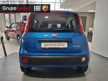 Fiat Panda III Hatchback 5d seria 5 1.0 GSE 70 KM 70KM 2025 Fiat Panda Pandina Icon 1.0 70 KM 5 miejsc Wyprzedaż, zdjęcie 4