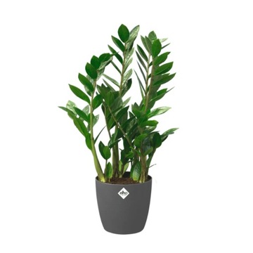 ELHO BRUSSELS OSŁONKA OKRĄGŁA Z KÓŁKAMI 47CM CIEMN