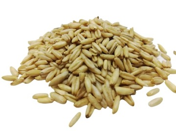 OWIES BEZŁUSKOWY - super zanęta przynęta - 1 kg