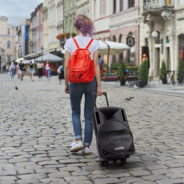 Активный КОЛОННЫЙ 12-дюймовый аккумуляторный микрофон мощностью 700 Вт/лекции, конференции, мероприятия