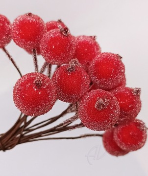 МОРОЗОВАЯ АССОРТИМЕНТ Декор Веточка для декупажа КРАСНАЯ - 20 шт/шарики