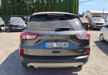 Ford Escape III 2020 Ford Escape 2020r, 1.5 Benzyna. AUTOMAT. Uszkodzony prawy przod. Poobijany, zdjęcie 19