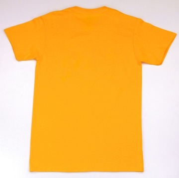 Koszulka męska młodzieżowa T-shirt Looney Tunes Zwariowane Melodie r. S