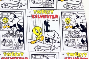 Looney Tunes Tweety Sylvester Sukienka Tunika r. M