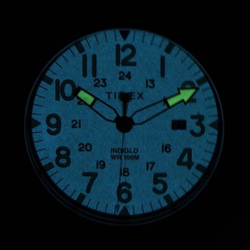 Zegarek Timex TW2R45700