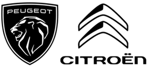 10 накладок на обивку дверей RENAULT SCENIC MASTER