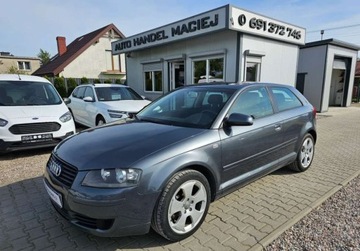 Audi A3 8P Hatchback 3d 2.0 FSI 150KM 2004 Audi A3 automat, Sprowadzone, zarejestrowane, ...