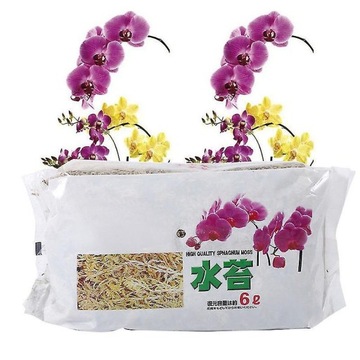 12L Mech torfowiec dla storczyków Phalaenopsis z nawilżającym nawozem