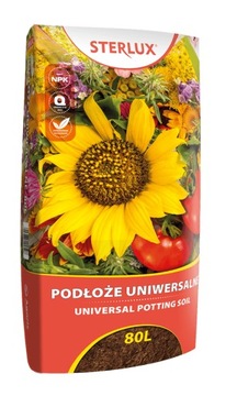 НАБОР СТАРТОВЫЙ XL 5 элементов ЛЕС В СТЕКЛЯННОЙ БАНКЕ