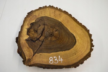 Plaster Drewna Orzech Włoski 46x41 Gr.6 Deska Blat