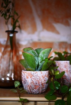 DONICZKA POMARAŃCZOWA ZDOBIONA W TRAWY16x17OSŁONKA