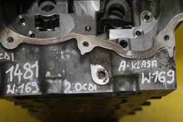 HLAVA W169 W245 2.0 CDI R6400162201 640.942