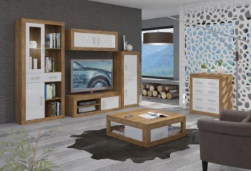 RINGO мебель _15 книжный шкаф 1DSWO, глянцевый фасад