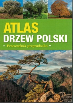 Atlas drzew Polski. Przewodnik przyrodnika