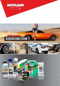AUTOLAND BLAG TIRE ЧЕРНАЯ 600 МЛ БЛЕСК И СОХРАНЕНИЕ