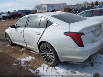Cadillac 2020 Cadillac CT5 Premium Luxury 2020 3.0 Benzyna 335KM, zdjęcie 3