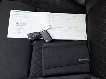 Skoda Octavia III RS Kombi Facelifting 2.0 TSI 245KM 2019 Skoda Octavia 2.0TSI RS Challange 245KM DSG VirtualGrzana SzybaFull LED PL, zdjęcie 29