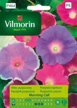 Wilec purpurowy Morning Call 1g Vilmorin Garden