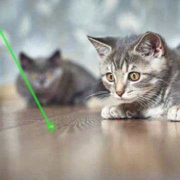 ЗЕЛЕНЫЙ ЛАЗЕР МОЩНЫЙ ЛАЗЕРНЫЙ УКАЗАТЕЛЬ ЗАРЯДНОЕ УСТРОЙСТВО ДЛЯ АККУМУЛЯТОРА БОЛЬШОГО ДЕЙСТВИЯ