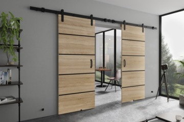 Настенная раздвижная дверь LORD DUO PLUS 212 loft