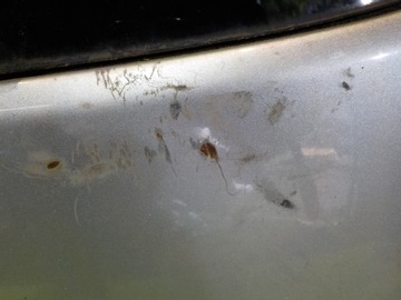 VW TOURAN I LIFT 2.0 TDI 09, задний люк в сборе