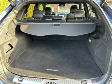 Ford Edge II SUV Facelifting 2.0 EcoBlue Bi-Turbo 238KM 2019 Ford EDGE ST-Line,automat,AWD, zdjęcie 9