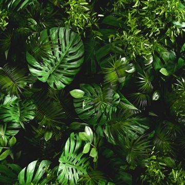 Почвенный субстрат для ЗЕЛЕНЫХ растений, смесь MIX