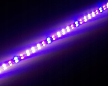 Светодиодная лента 5730 IP20 1M 144 светодиодов полный спектр II