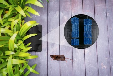 STACJA DERATYZACYJNA NA TRUTKĘ KARMNIK NA SZCZURY I MYSZY Z KLUCZYKIEM