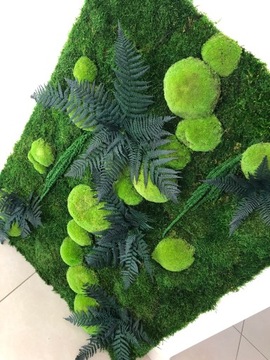 ВЕС СТАБИЛИЗИРОВАН ДЛЯ ИЗОБРАЖЕНИЙ ИЗ МХА ХРОБОТЕКА