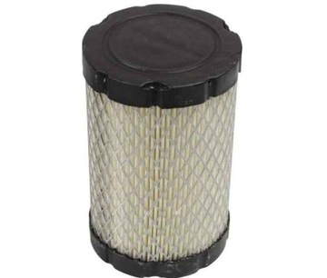 FILTR POWIETRZA BRIGGS 796031 590825 591334 594201