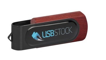 PENDRIVE REKLAMOWY USB z logo PD-6 Wood Doming 16GB Z NADRUKIEM 10 SZT