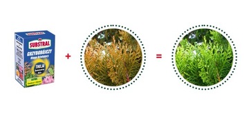 Сапрол Туя против потемнения 100мл Субстрал