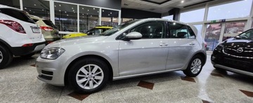 Volkswagen Golf VII Hatchback 3d 1.6 TDI-CR DPF 105KM 2013 Volkswagen Golf Golf 7 4x4 tylko 176 tys.przebiegu 1.6 Diesel 105KM, zdjęcie 20