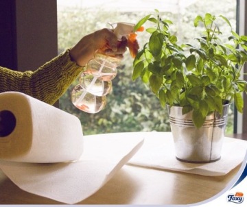 Впитывающее целлюлозное бумажное полотенце FOXY ASSO ULTRA BIG - 18 рулонов