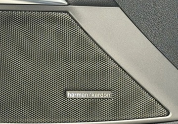 BMW Seria 3 G20-G21 2021 BMW Seria 3 M Sport Pierwszy wlasciciel Gwarancja Bezwypadkowy FVAT23, zdjęcie 29