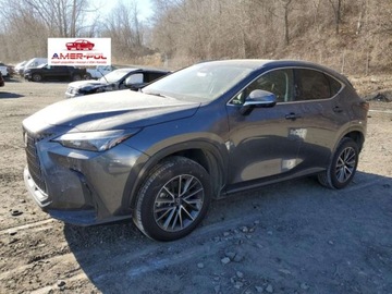 Lexus NX II 2023 Lexus NX 350, 2023r., 4x4, 2.4L 2.4 Benzyna 275KM