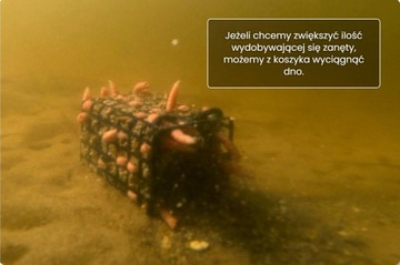 КОРЗИНКА ДЛЯ ПРИМАНКИ JAXON RIVER MET С ДНОМ 100Г