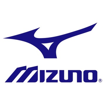Носки для гандбола Mizuno Training 32EX0X01Z01 белые 46-47 /Mizuno