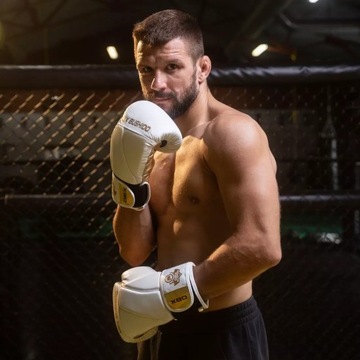 КОЖАНЫЕ СПАРИНГОВЫЕ БОКСЕРСКИЕ ПЕРЧАТКИ MUAYTHAI DBX BUSHIDO HAMMER 10 OZ