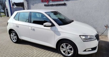 Skoda Fabia III Hatchback Facelifting 1.0 TSI 95KM 2020 Skoda Fabia Skoda Fabia 1.0 TSI Ambition Plus Benzyna 95KM, zdjęcie 14