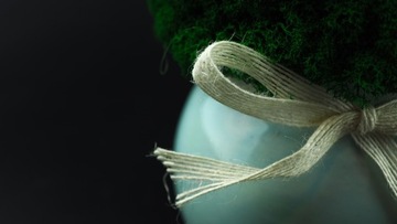 Мох в горшке МИКРОКЛИМАТ БОЧКИ