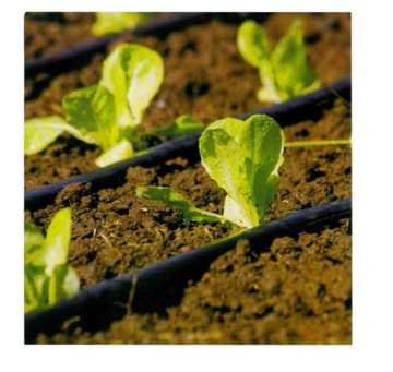 НАБОР ДЛЯ ПОРОШЕНИЯ САДОВЫХ РАСТЕНИЙ 71 ЭЛЕМЕНТ DROP