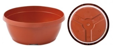 MISA CHRYZANTEMOWA fi 30 opak. 10 sztuk