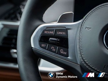 BMW X5 G05 2025 BMW X5 xDrive30d 298 KM mHEV - Lakierowanie BMW Individual - Kamera 360, zdjęcie 12